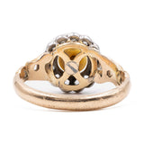 Anello antico in oro giallo 14k con perla e rosette, primi del '900