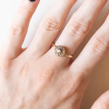 Antiker Gänseblümchenring aus 10 Karat Gelbgold mit zentralem Diamanten im Rosenschliff und seitlichen Diamanten im Rosenschliff, Anfang des 900. Jahrhunderts