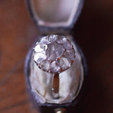 Antique 18K white gold ring with coroné rose cut diamonds, early 900s - Antichità Galliera
